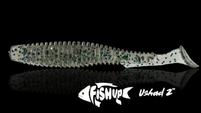 Fishup DÇtail Ushad 2 1