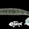U-SHAD – Image 5