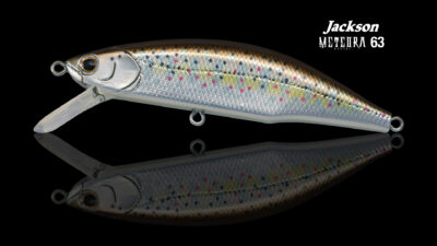 Boite a leurre reins lure box - meiho 3010