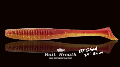 Bait Breath Détails ET Shad 1