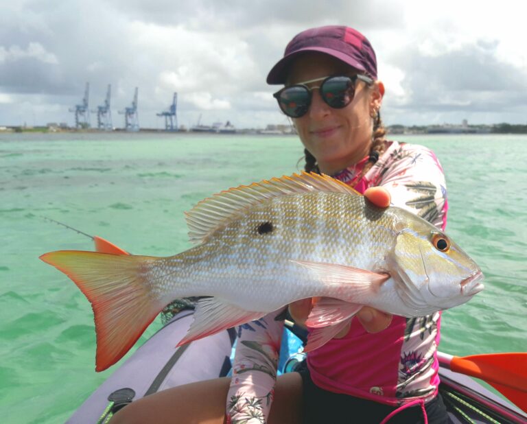 Mutton snapper de Guadeloupe au leurre souple Un pagre de flat au leurre souple