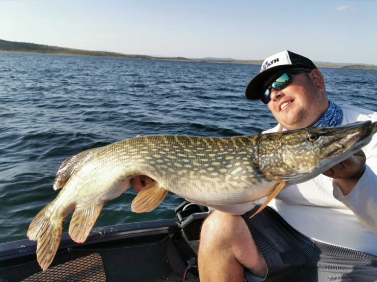 Pêche du brochet en pélagique