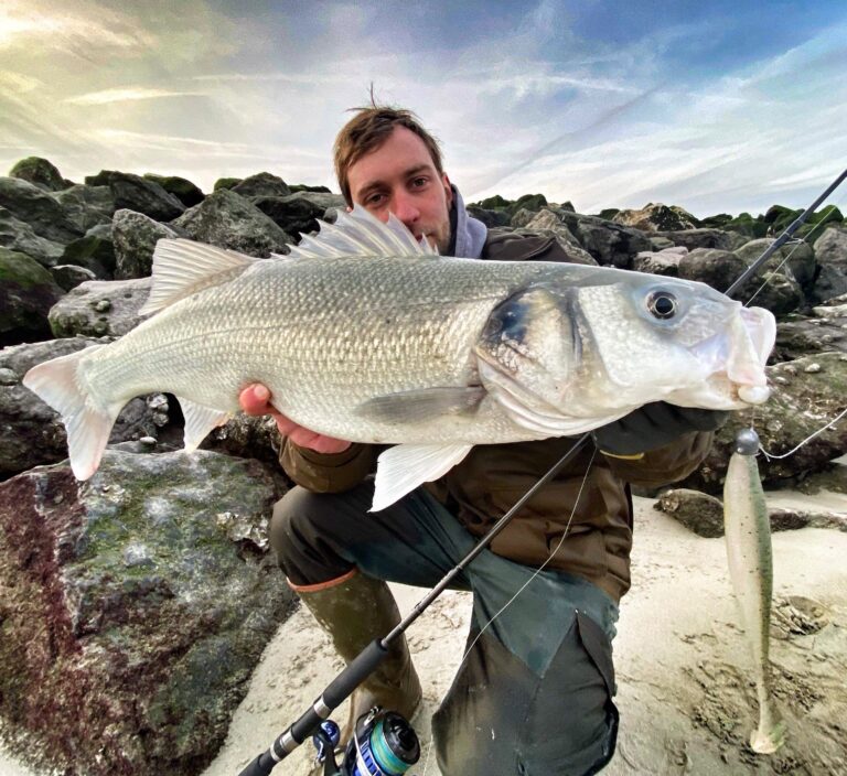 La pêche du bar du bord