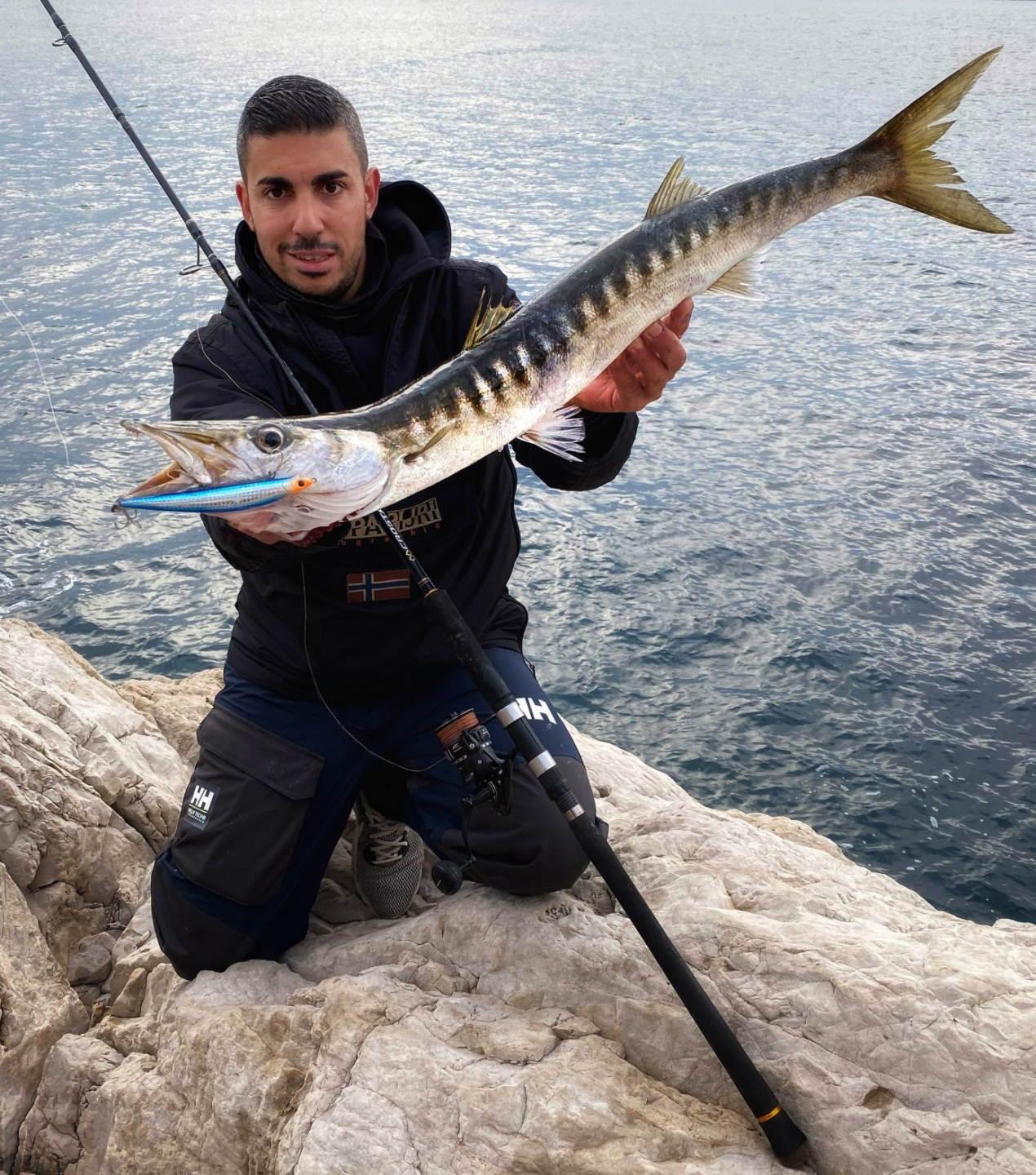 barracuda