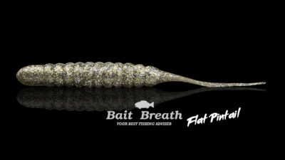Bait Breath d‚tail 1 Flat Pintail reflet