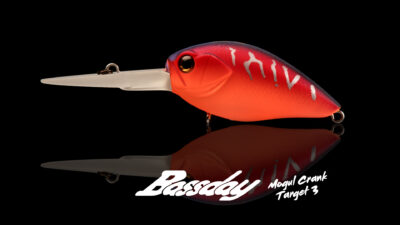 Bassday D‚tail 1 Mogul Crank Target 3