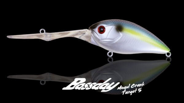 Mogul Crank Target 5