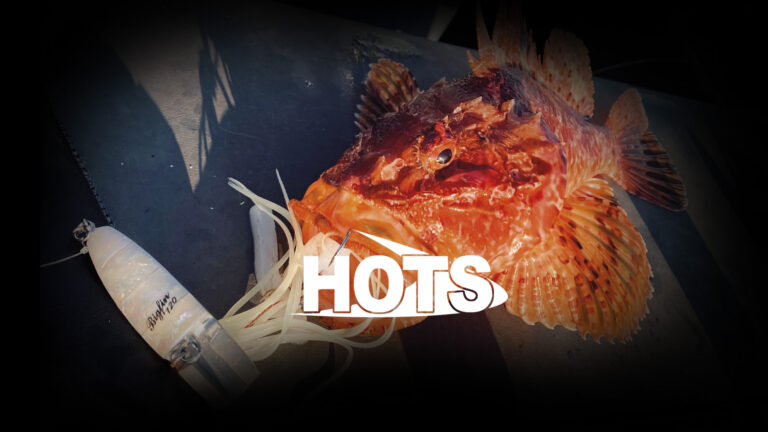HOTS