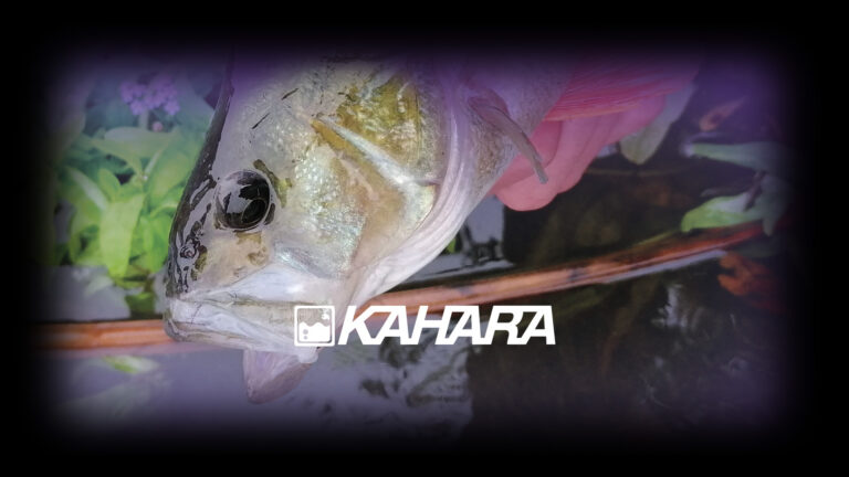 KAHARA