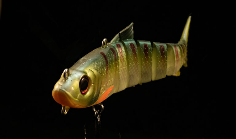 Le LIVE SWIMBAIT : Un leurre polyvalent pour le brochet