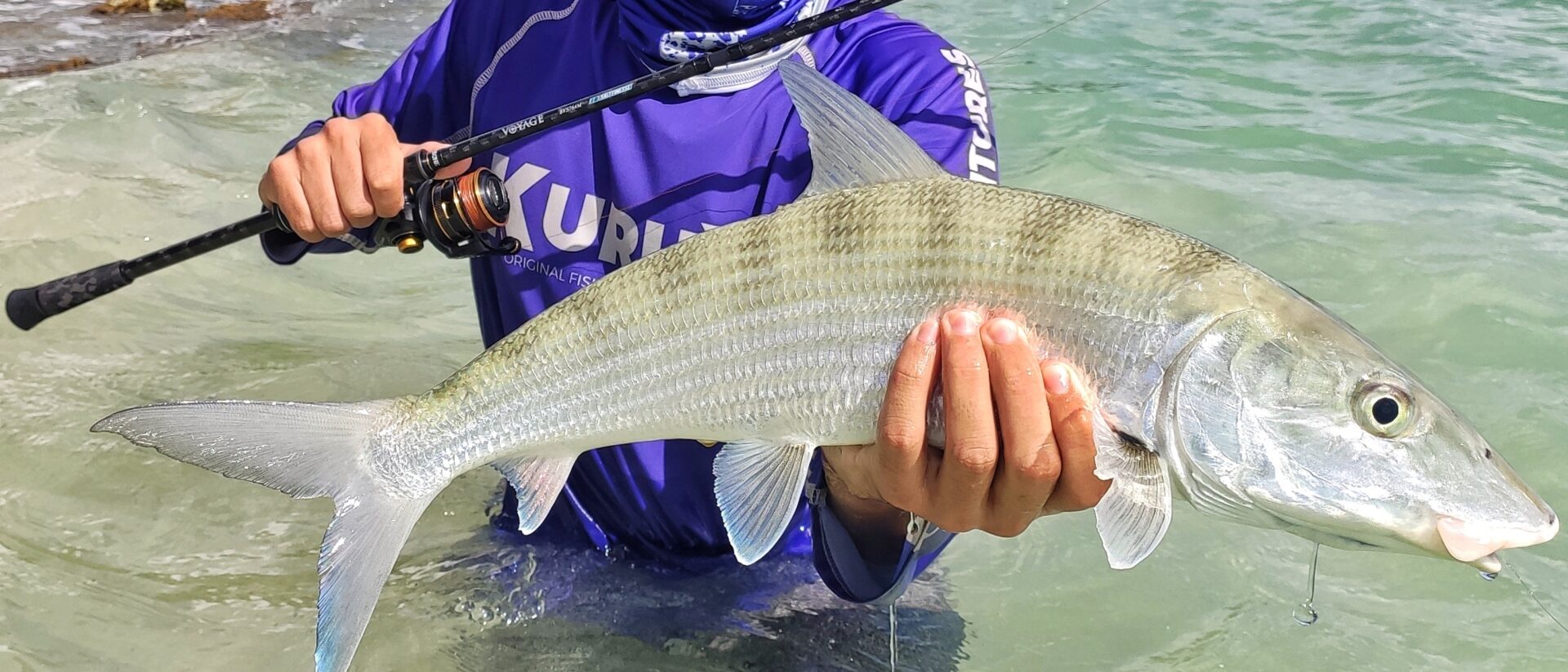 Fish 'N Catch, la vraie canne à pêche - Avec moulinet