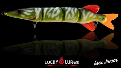Esox Jr Détail 1