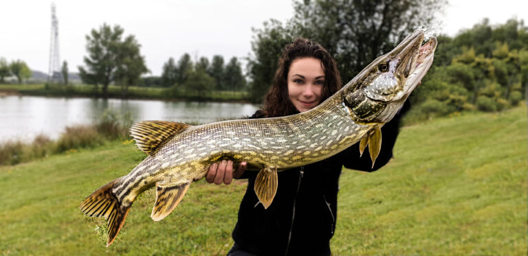 Mes 5 leurres préférés pour la pêche du brochet