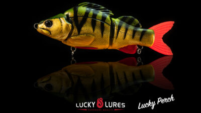 Perch Détail 1