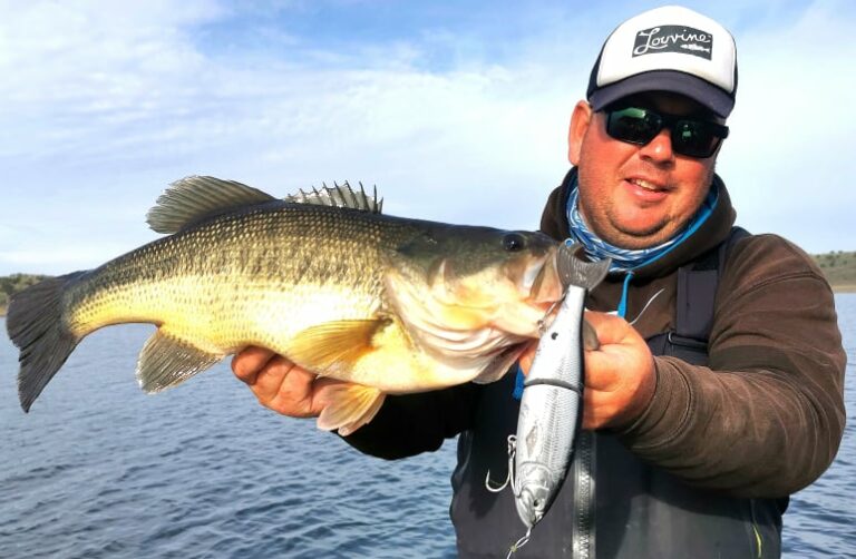 bass 4