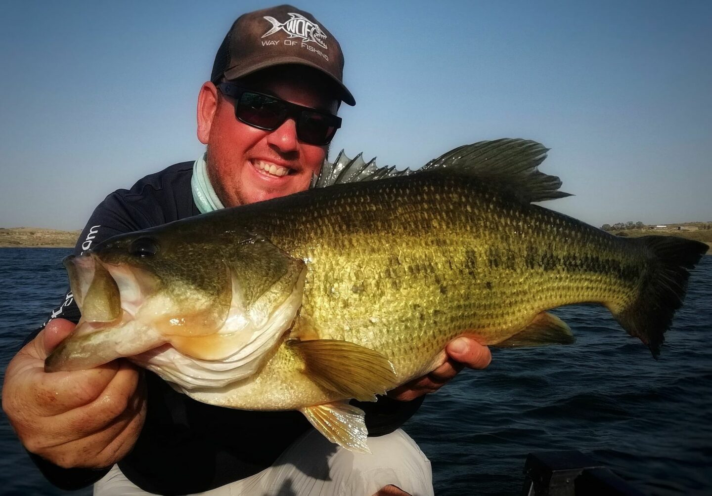 bass 7