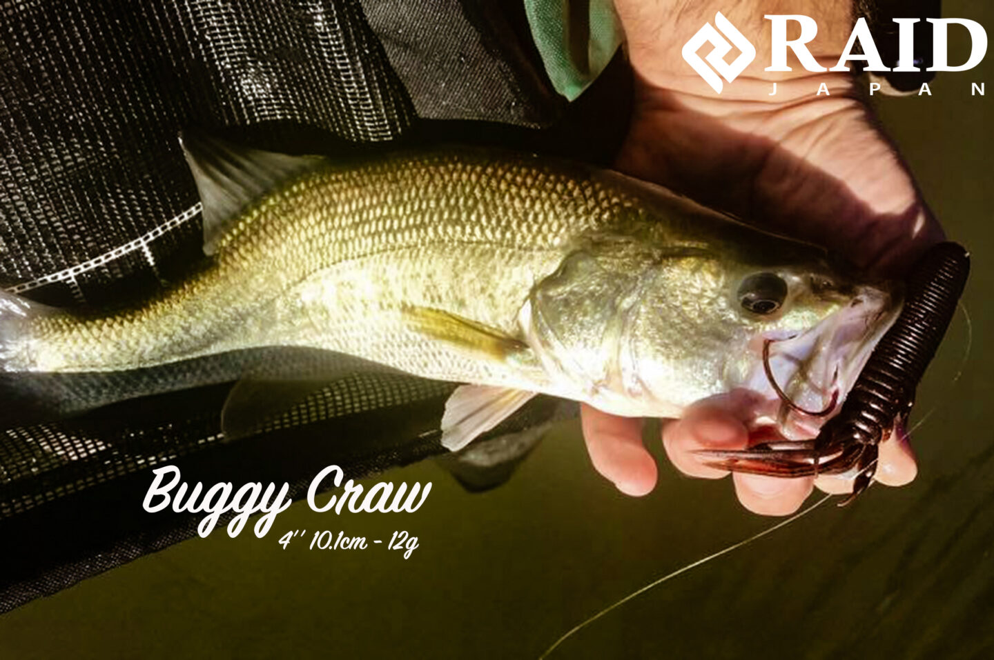 BuggyCraw