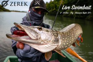 LiveSwimbait