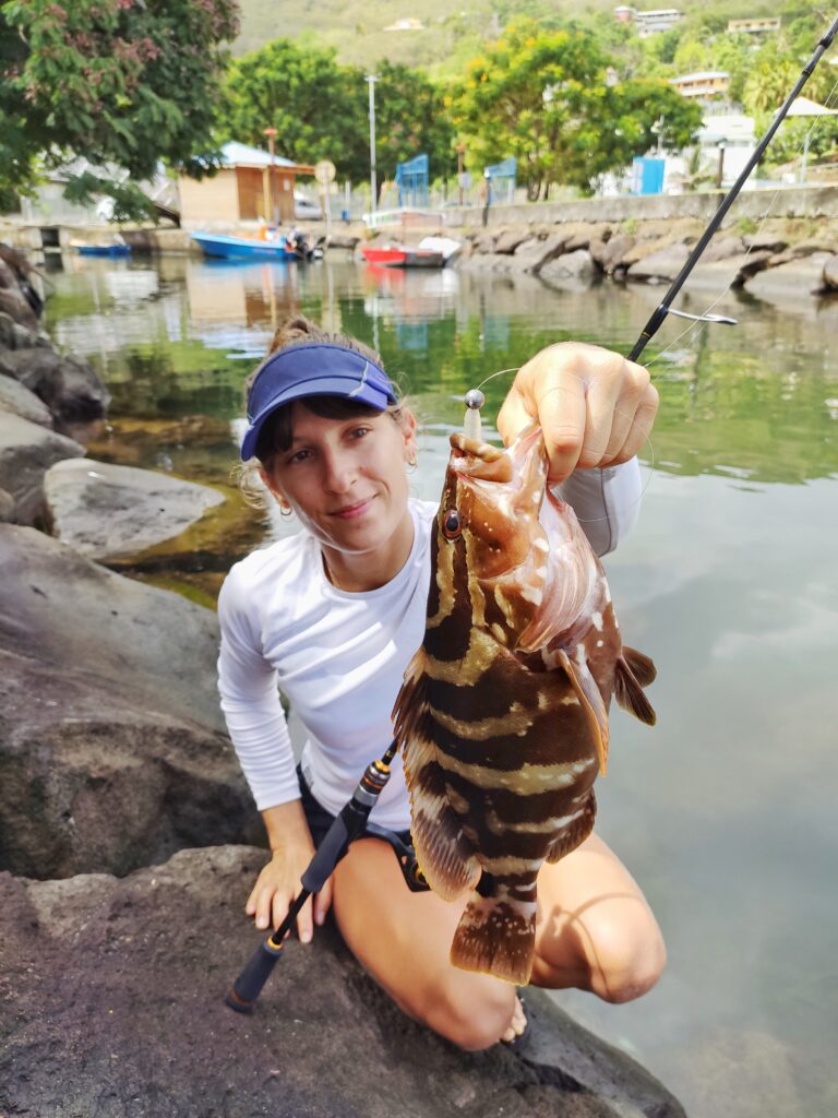 Mérou Nassau Rockfishing Mérou easy shiner