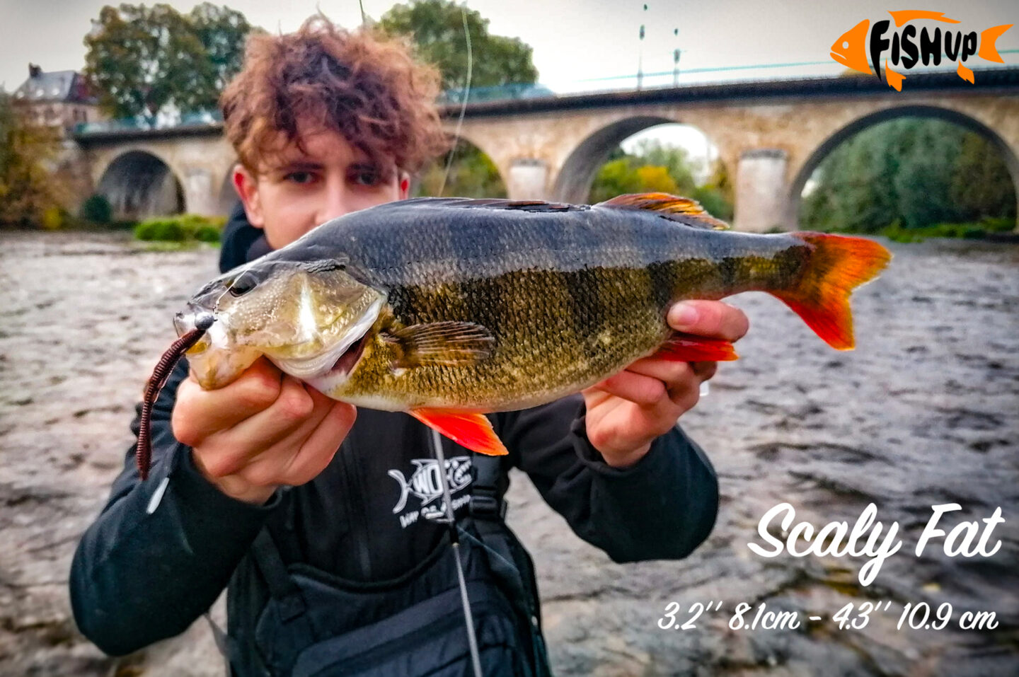 Scalyfat
