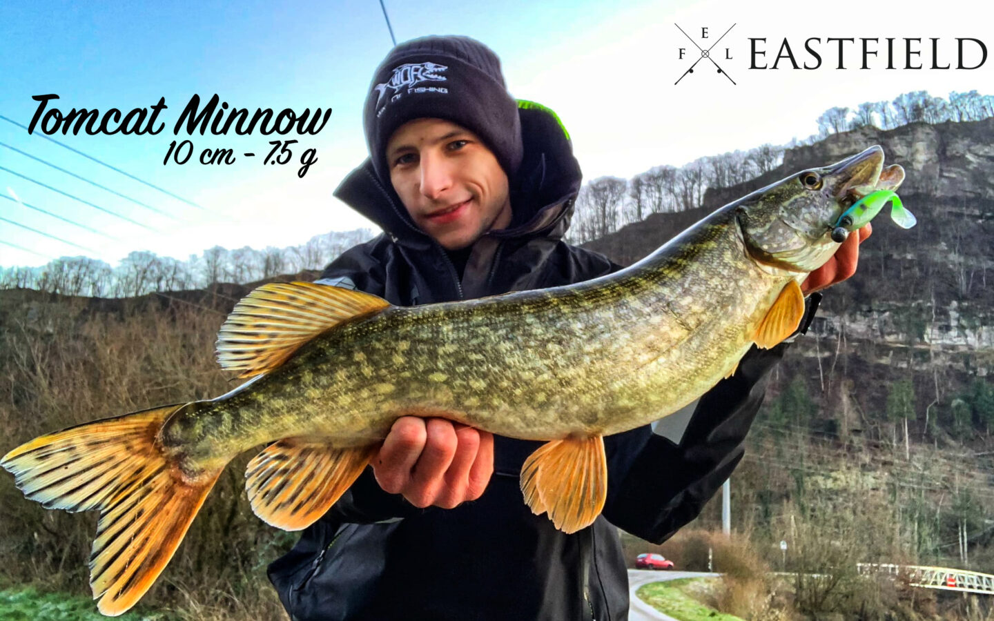 Tomcat Minnow