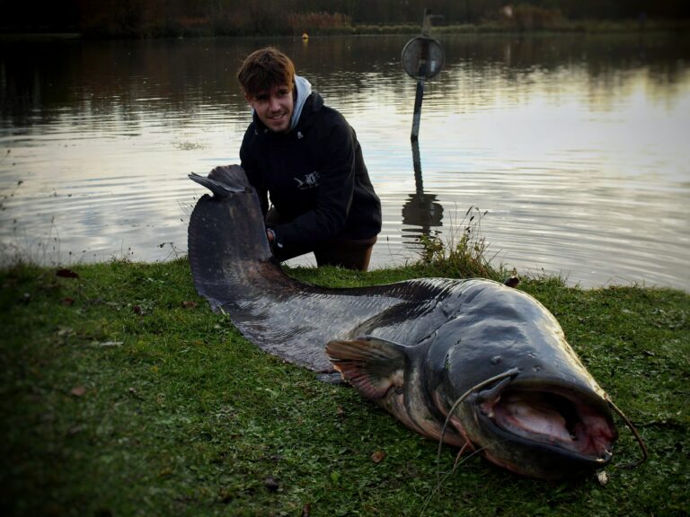 Le dernier poisson de 2020