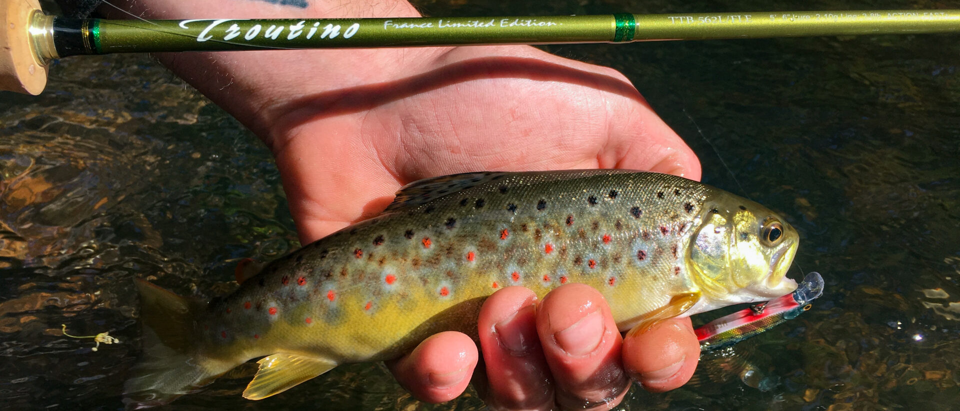 Peche de la truite en petite rivière – Way Of Fishing