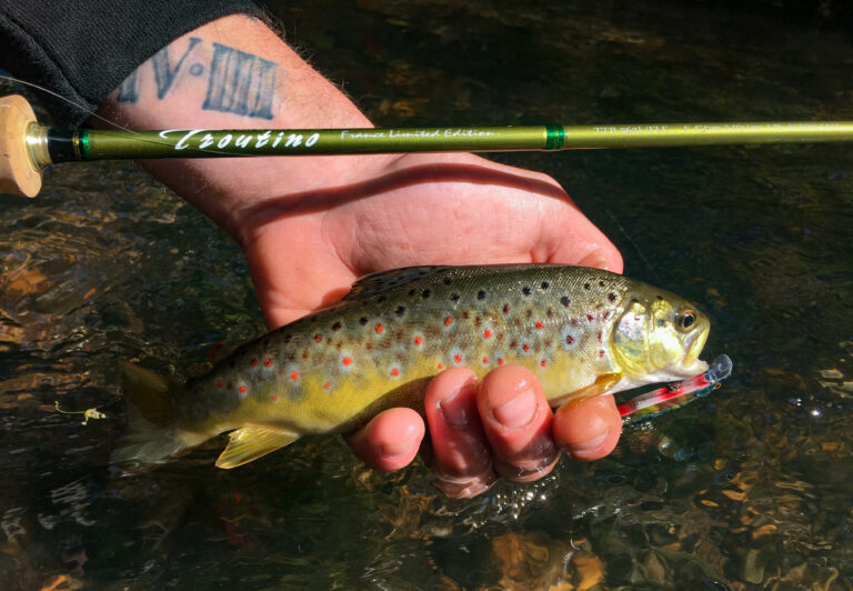 Pêche de la truite en petite rivière