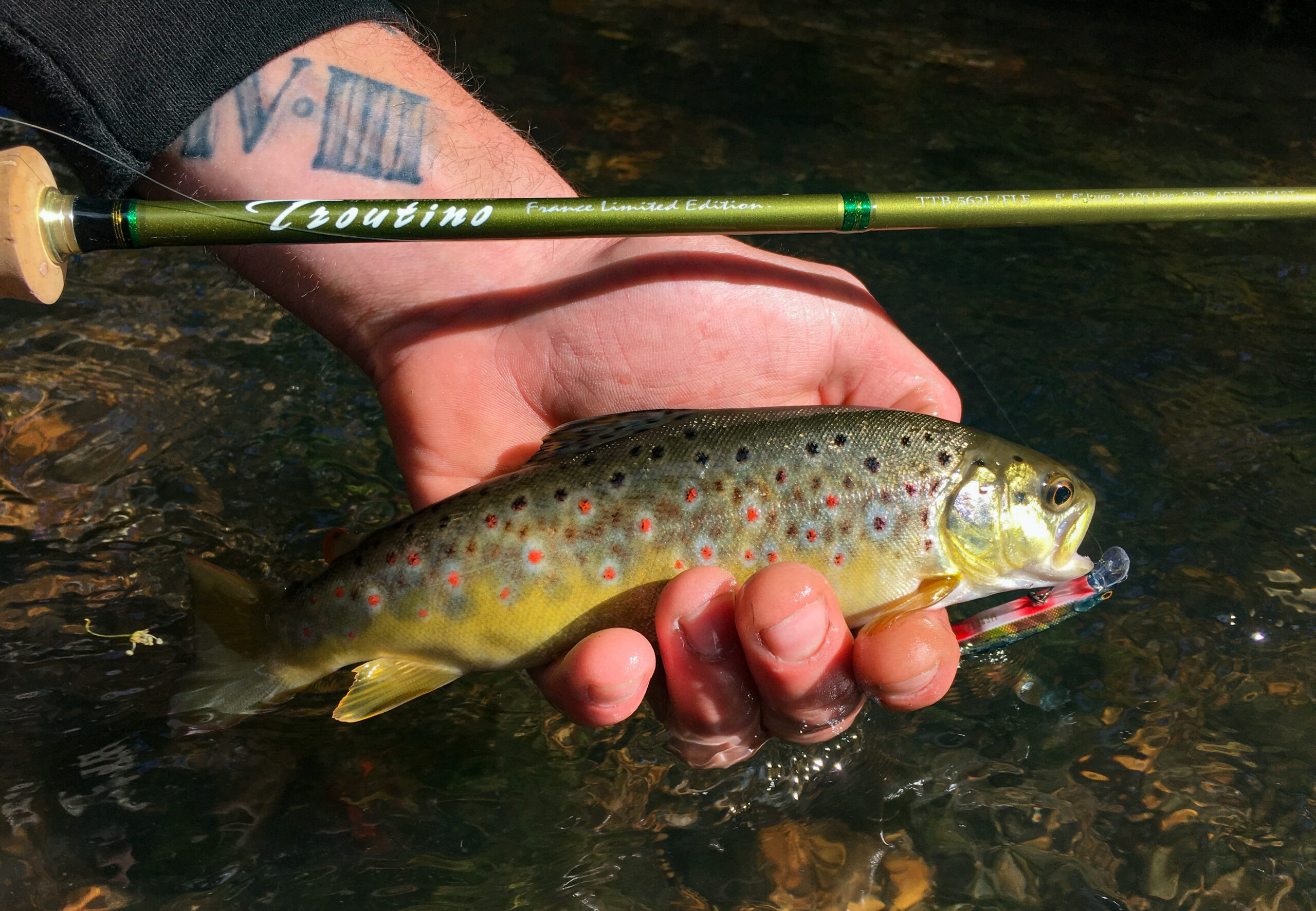 penn squadron spinning rod