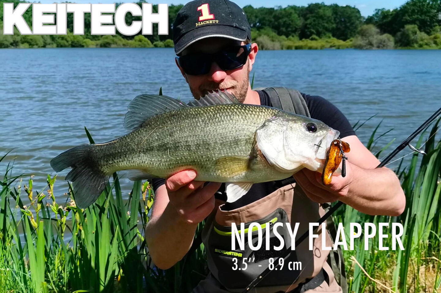 Noisy Flapper2