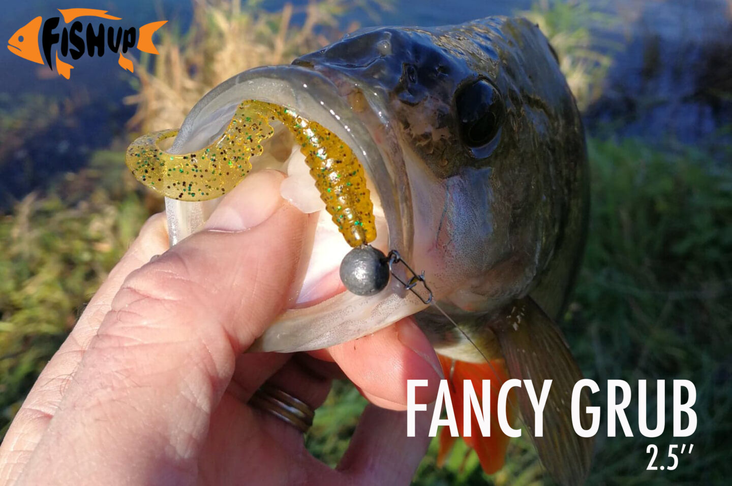 fancygrub
