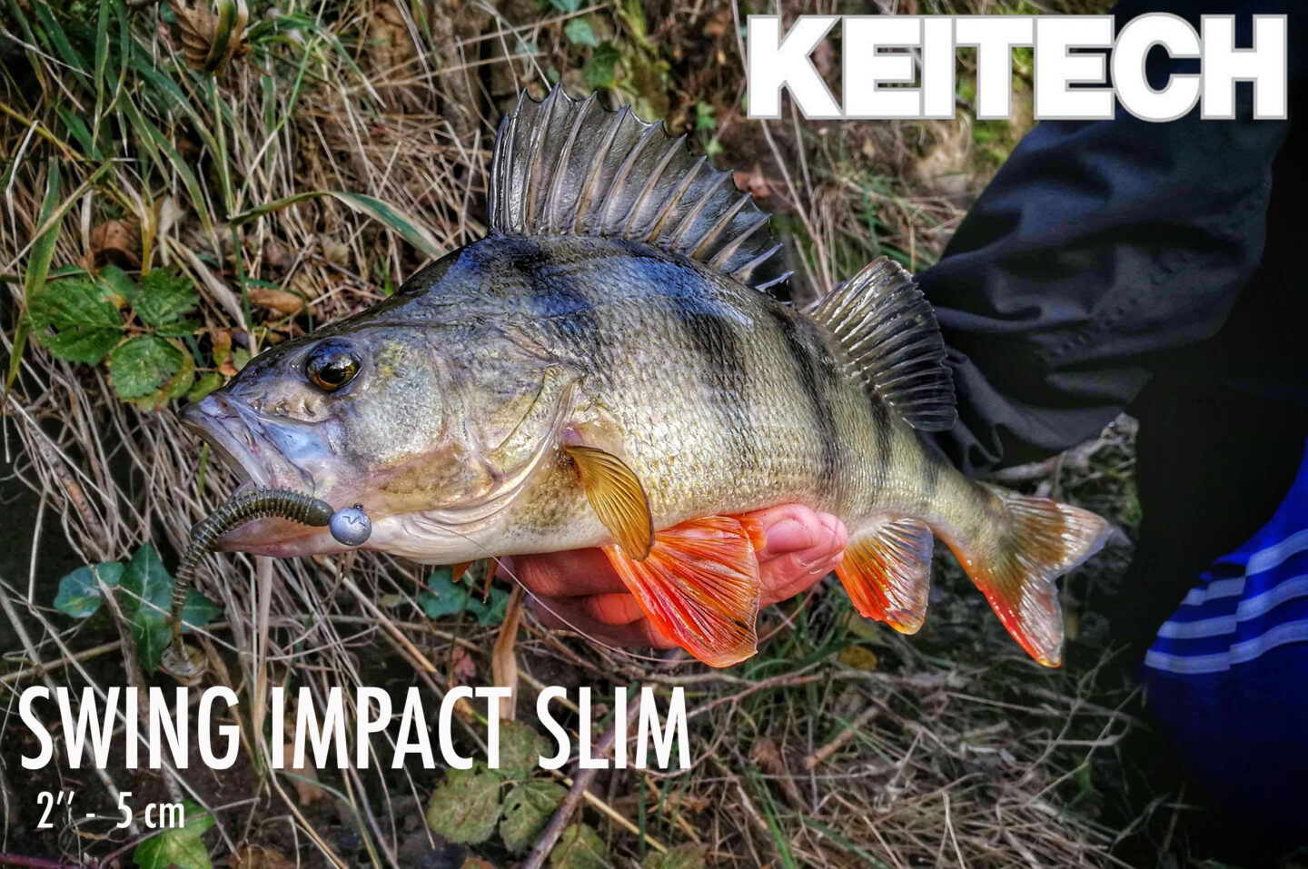 impact slim 2