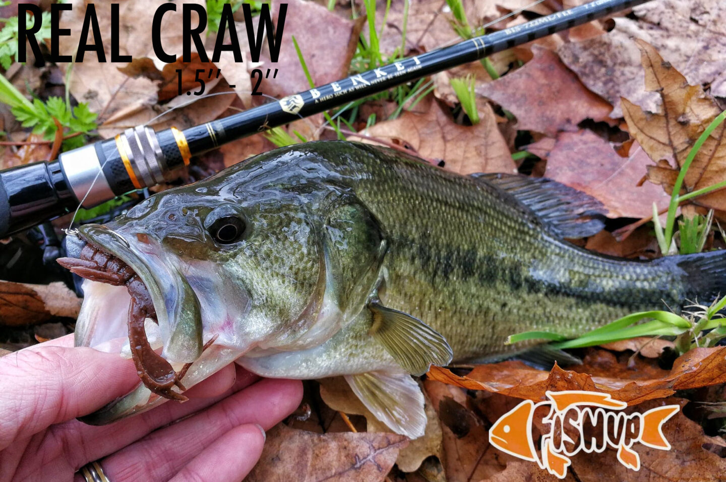 realcraw