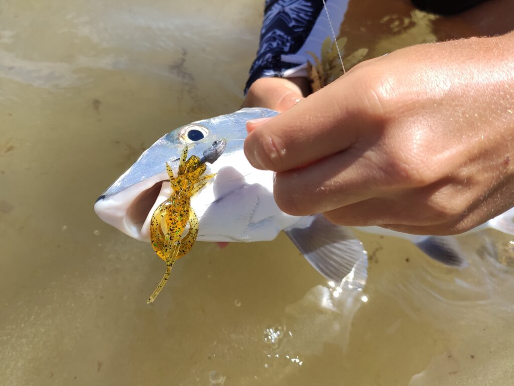 Fishup real craw bonefish