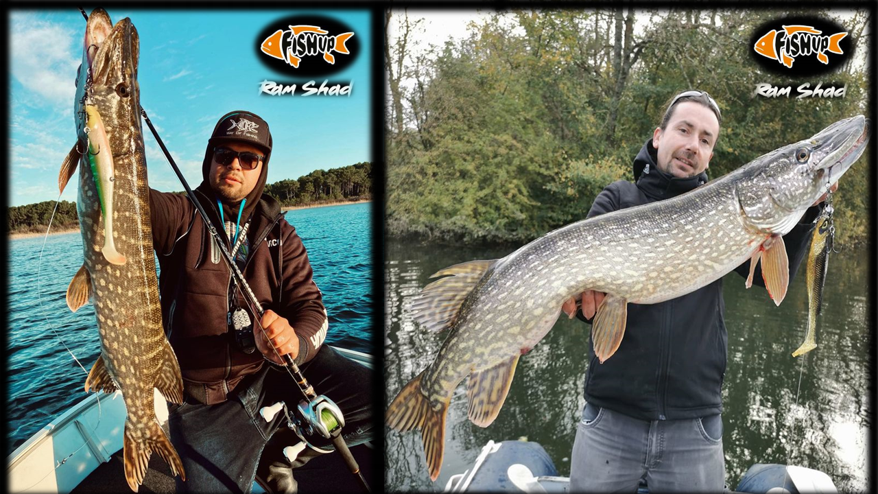 presentation finale pike-fishup