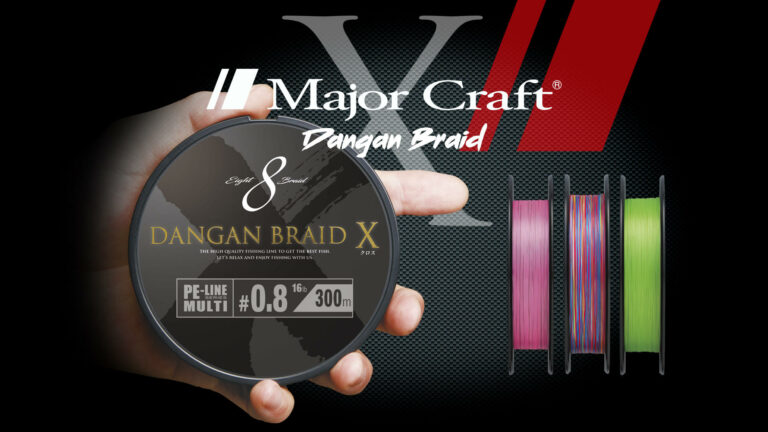 Dangan Braid X