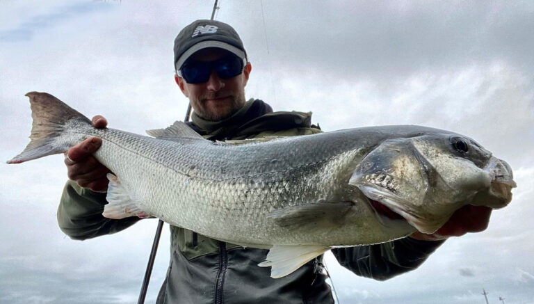 Ma boite de pêche pour le bar