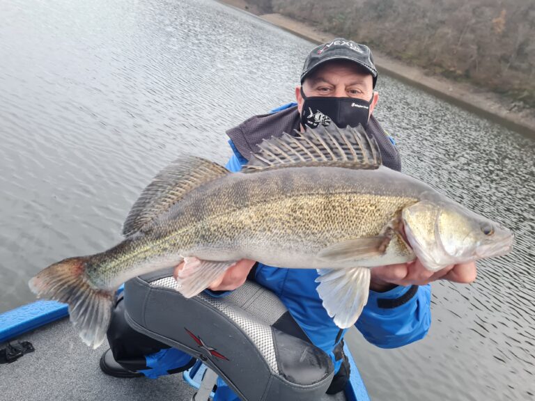 Petit tour de mes boites de pêche pour l’hiver