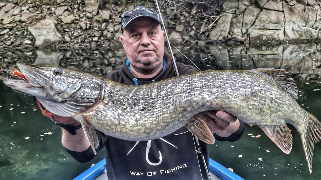 Brochet