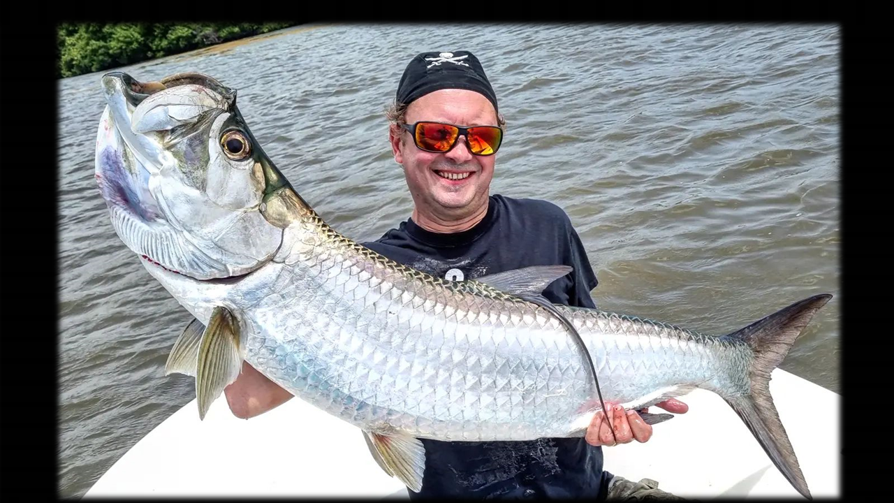 papa photo tarpon