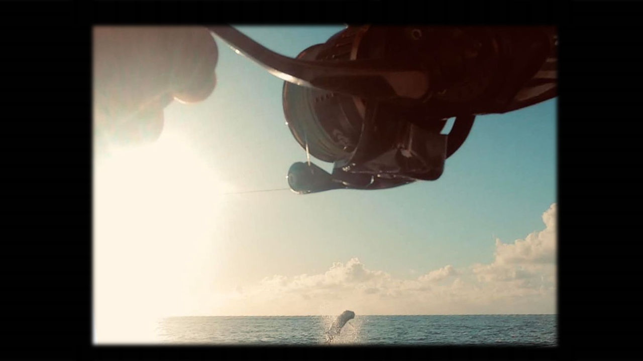 tarpon photo1.1