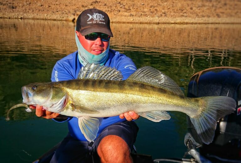 La pêche du sandre en Extremadure