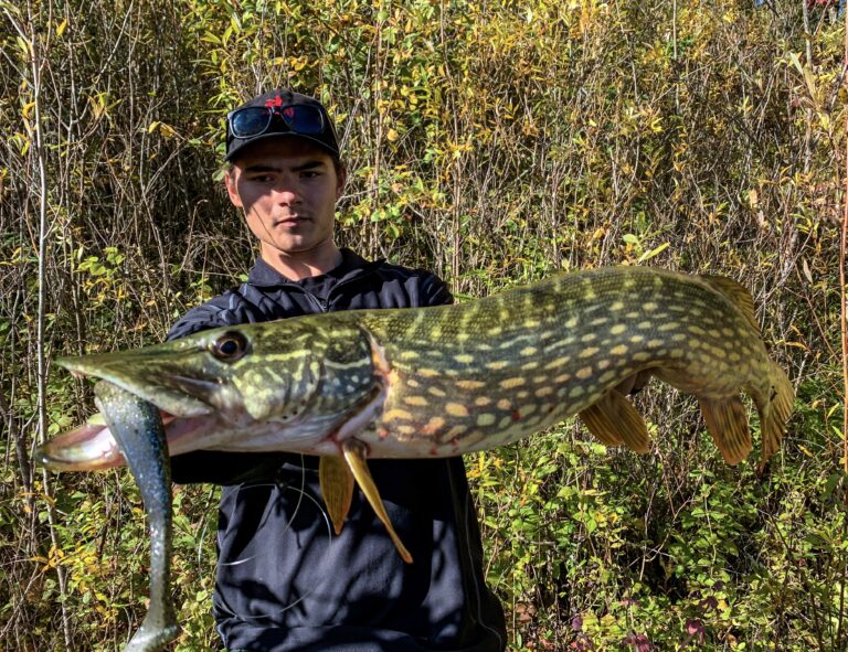 Récit d'une session au brochet