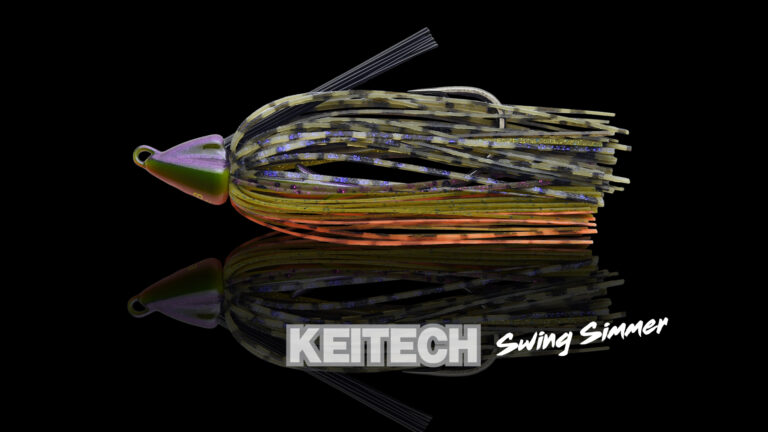 SWING SWIMMER