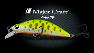 Major craft Eden Détail 1 Eden 45