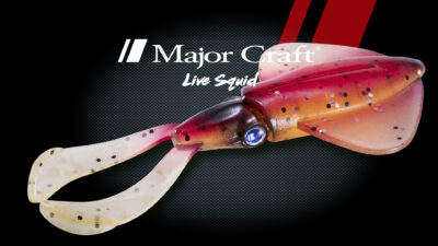 Major Craft Jigpara Live Squid Detail 1