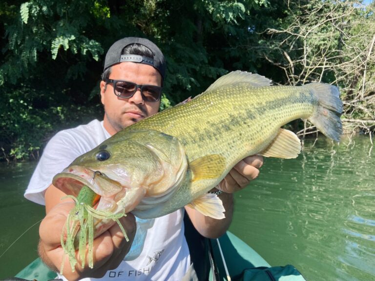 Black Bass Backslide 3