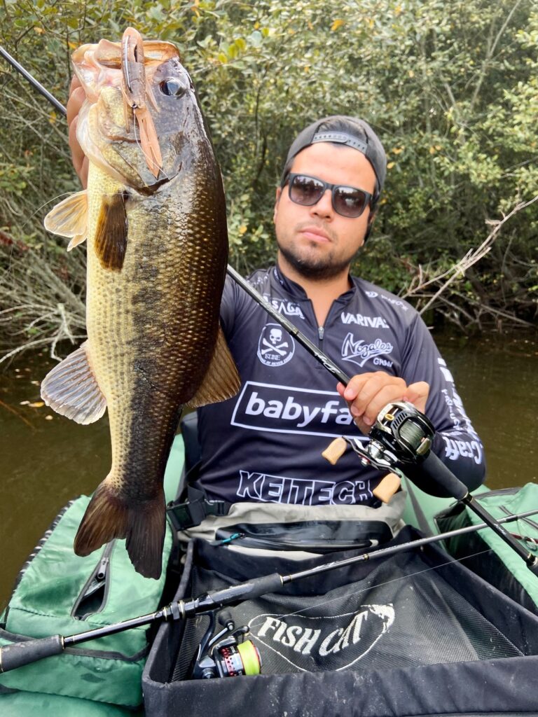 Black Bass Backslide 8