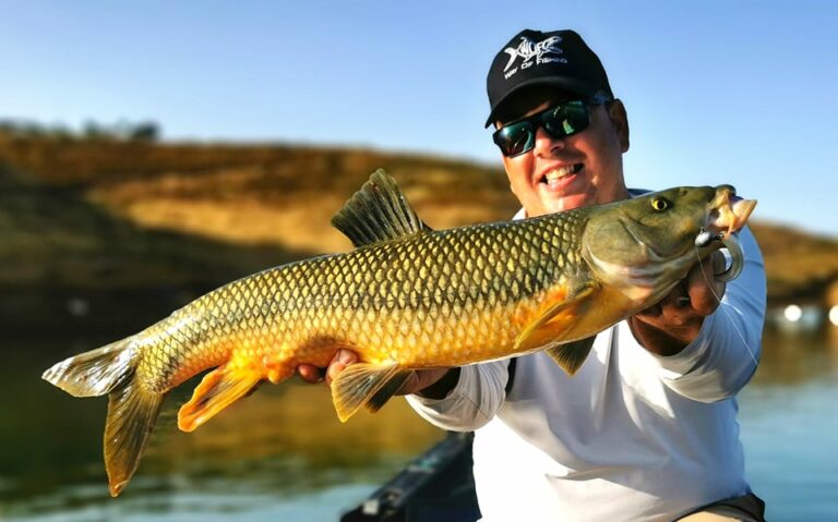 La pêche du Barbeau Iberico