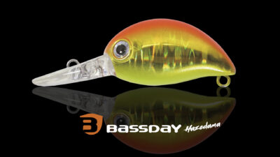 Bassday Hazedama Detail 1